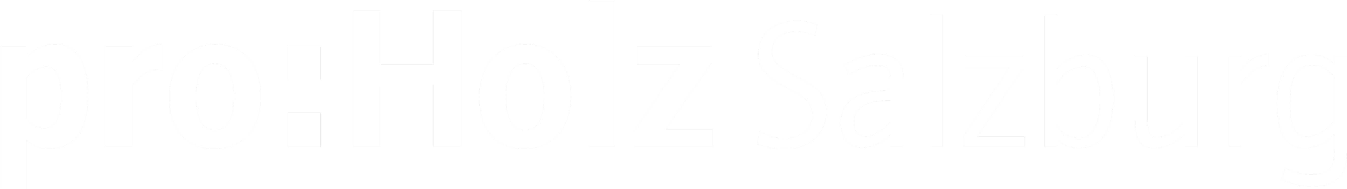 pro:Holz Salzburg Logo